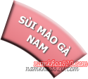 Biểu hiện bệnh sùi mào gà ở phụ nữ sui mao ga nam